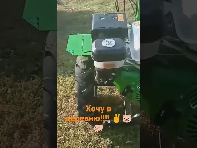 хочу в деревню!