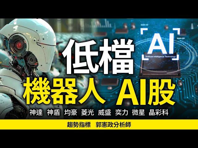 低檔機器人及AI股 20250616 趨勢指標 郭憲政分析師