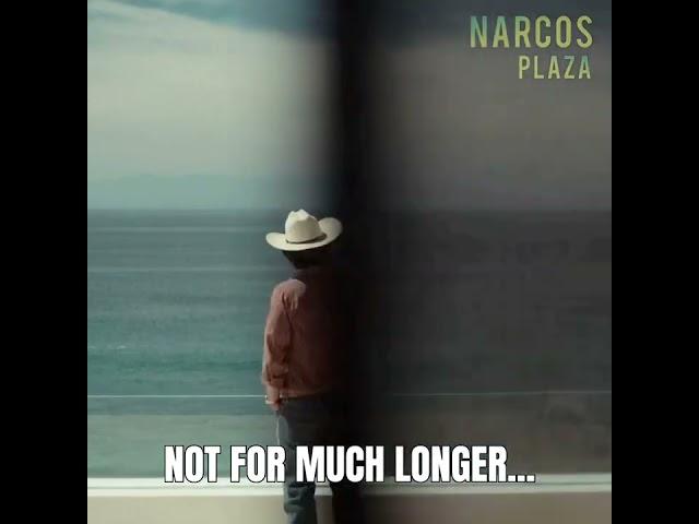 El Mayo Informs Enedina About Ramon’s Death | Narcos: Mexico #shorts