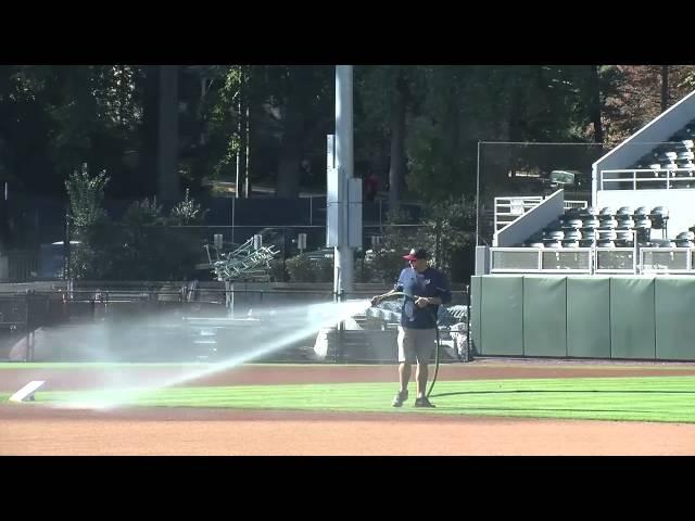 Foley Field Revival