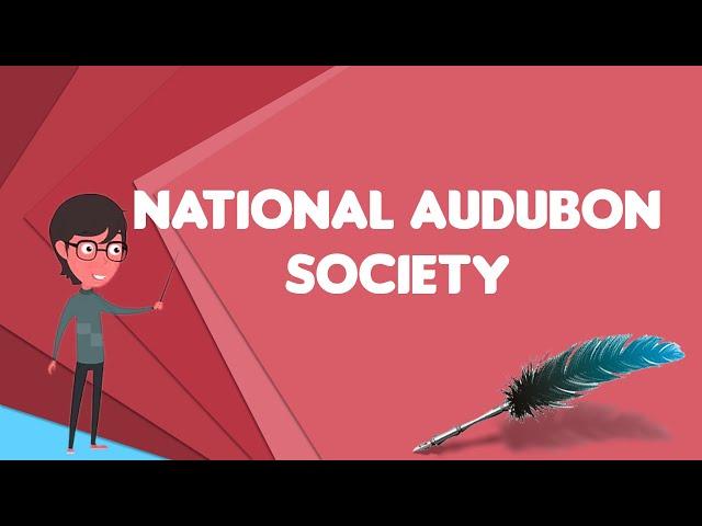 What is National Audubon Society?, Explain National Audubon Society, Define National Audubon Society