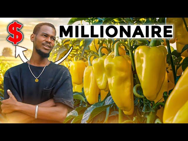 How he makes Millions in Vegetable Farming in Africa: