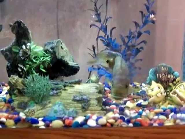 125 gallon aquarium