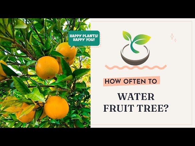 How Often to Water Fruit Trees: Ultimate Gardener's Guide!