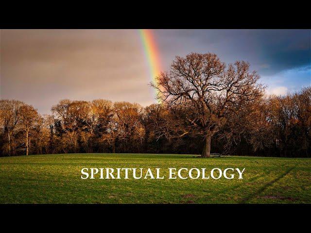 Spiritual Ecology   Llewellyn Vaughan Lee