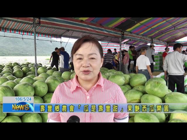 壽豐鄉農會「瓜是壽豐甜」果艷西瓜開園