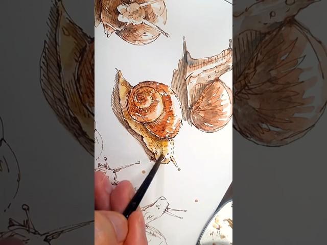 쉽게 달팽이 펜화 그림 그리기 #easydrawing #snails #pendrawing #watercolorpainting