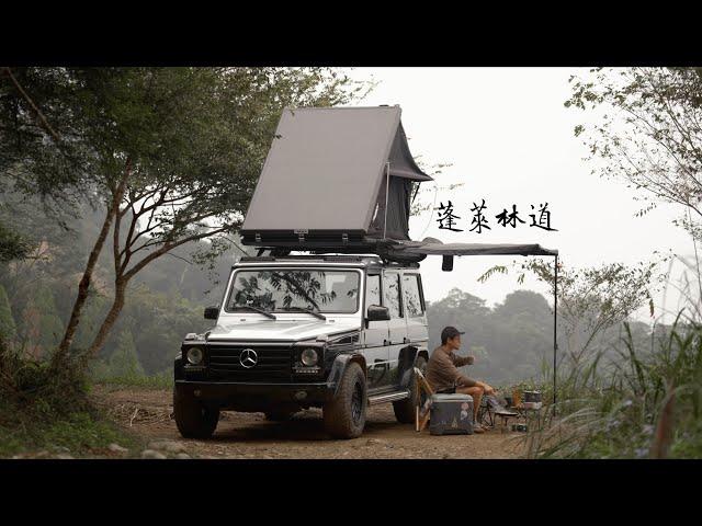 蓬萊林道野營 Taiwan gclass camping