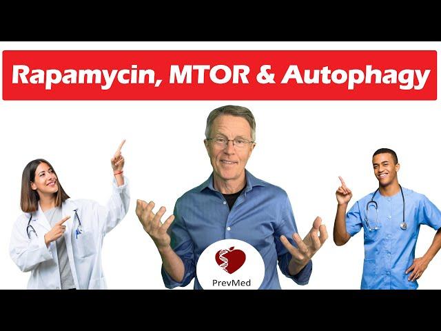 Rapamycin, mTOR & Autophagy: More Anti Aging Concepts (David Sinclair LIFESPAN - Part 3)