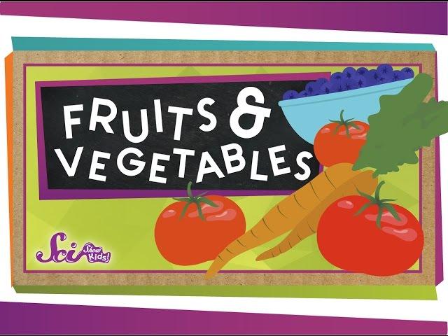 What's the Difference Between Fruits and Vegetables?