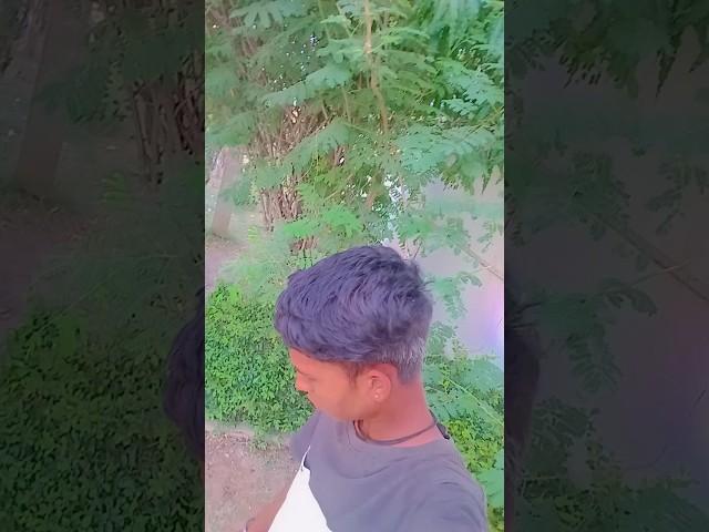 Gujarati song #gujratirimixtimli #gujarati #timli #timlidance