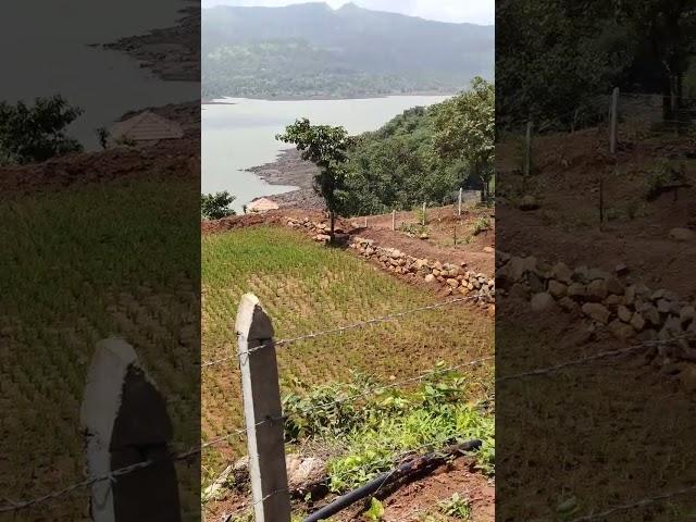 Agriculture and Farm House Plot For sale near Pune. Plot for Organic farming Project.