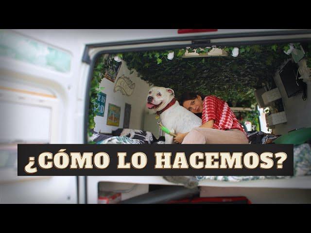  6 TIPS para viajar con perro en FURGONETA CAMPER 