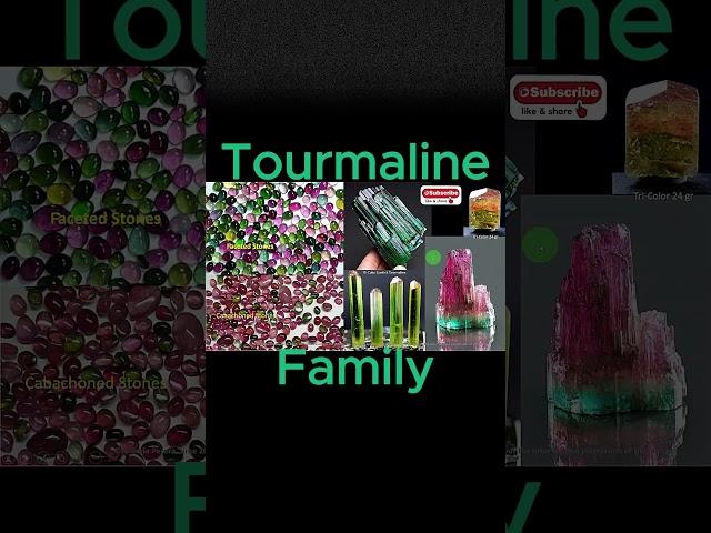 L 37 E Short Tourmaline ️Family  #gemology #tourmaline #sapphirekingdomgemology