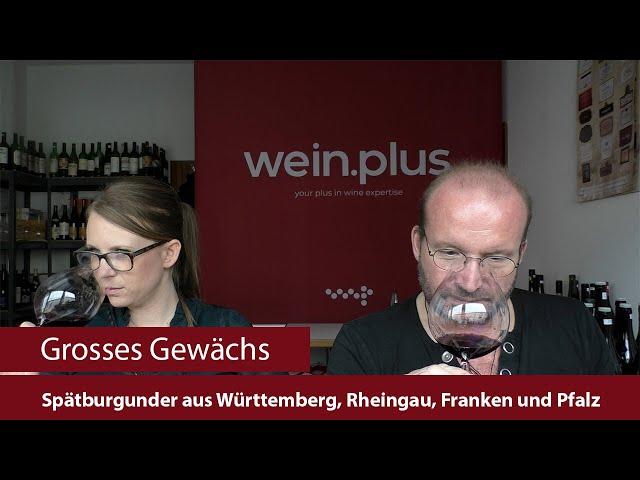 Grosses Gewächs | Nachproben 2024 | Spätburgunder aus Württemberg, Rheingau, Franken und der Pfalz