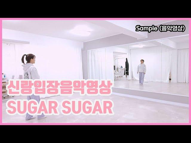 [ 신랑입장음악영상 ] SUGAR SUGAR 쉬운 안무 BY 뮤블리즈 뮤지컬웨딩 #신랑댄스 #신랑댄스입장 #신랑입장곡추천