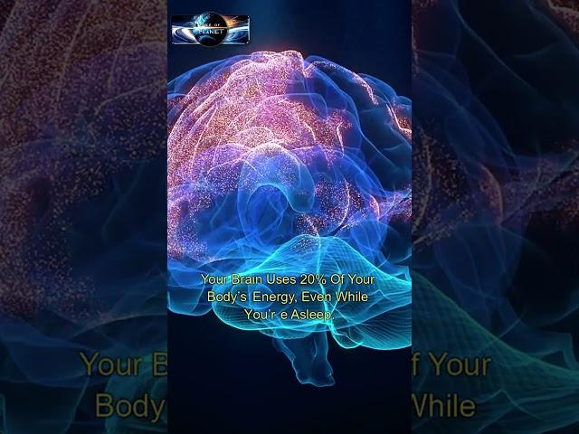 The Brain: More Powerful Than Any Computer