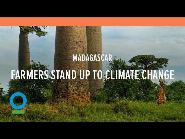 Farmers in Eastern Madagascar Stand up to Climate Change