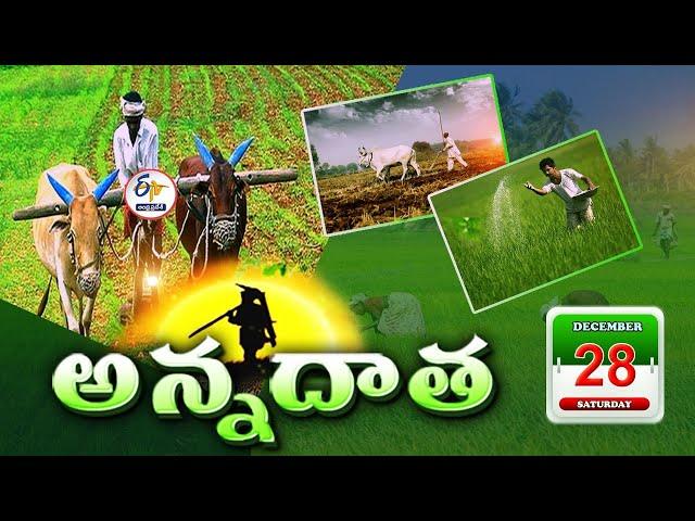 అన్నదాత | 28th December 2024 | Annadata | Full Bulletin | ETV Andhra Pradesh