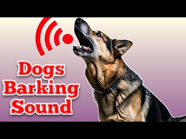 Dogs Barking | Barking Dog Sound Effect | कुत्ता की आवाज | Kutte Ki Awaaz