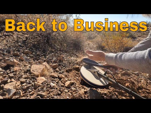 Gold Nugget Shooting, Back from a Break