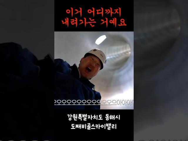 이거 안 타본 사람 없게 해주세요 동해 도째비골스카이밸리에 있음 #자이언트슬라이드