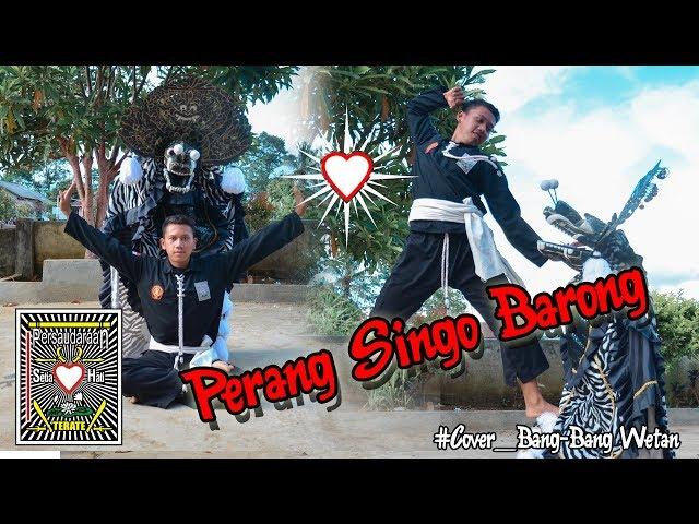 parodi barongan perang // cover bang bang wetan