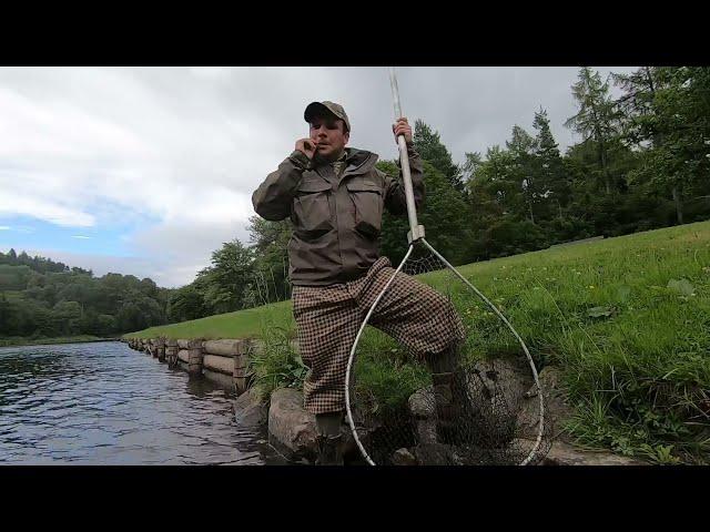 Salmon fishing on the Spey at Lower Pitchroy  On the River Spey 7th July 2021