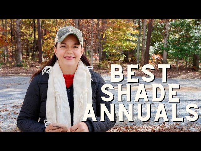 Shade Annuals You're Going to Love