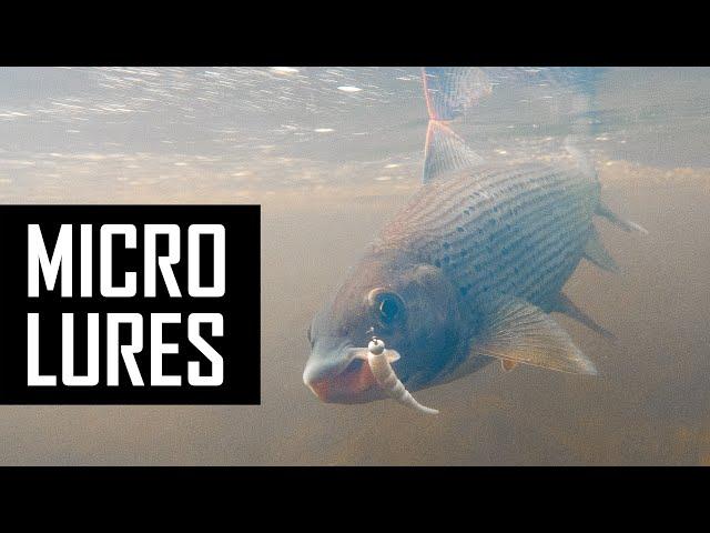 How to catch Trout and Grayling on micro lures?