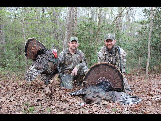 Georgia Turkey Hunt: Finally kill a longboard at the house!