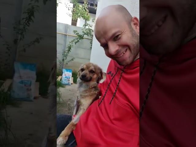 Small 5 kg dog saved with a broken leg from a truck park! 