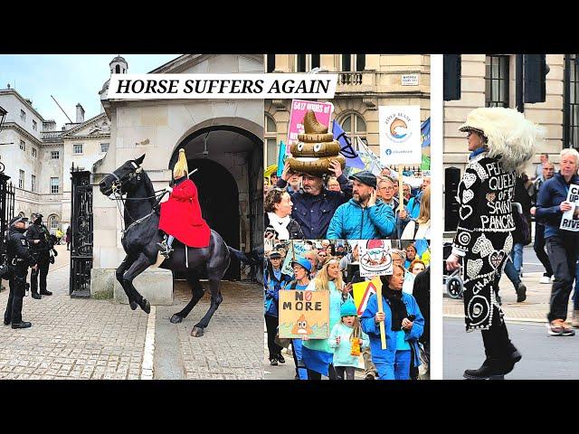 King's Horse is Going Through a Difficult Time Once More as They Pass in Front of the Horse Guards