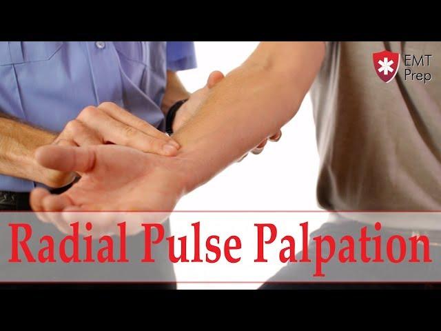 How to Obtain a Radial Pulse - EMTprep.com