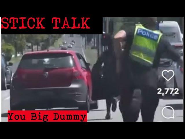 Stick Talk "You Big Dummy!"