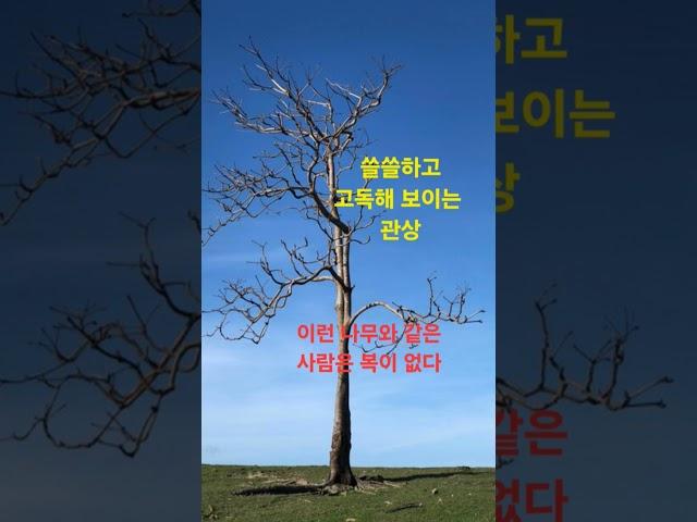 복이 없는 사람의 관상