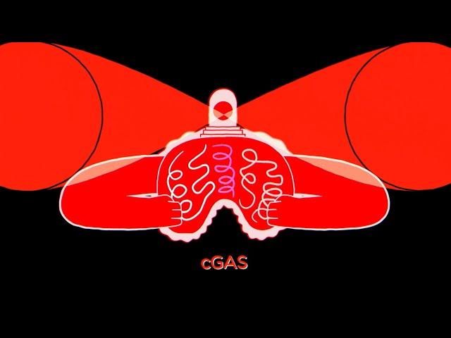 cGAS: Sounding the alarm on self and foreign DNA