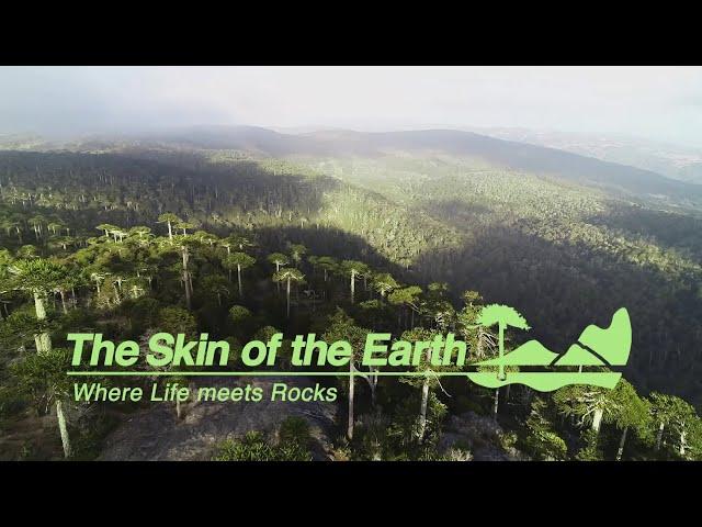 The Skin of the Earth - Where Life Meets Rocks