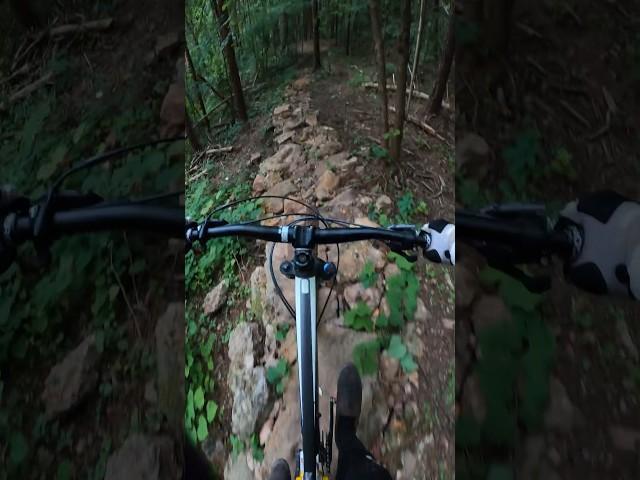 I love some chunky trails #mtb #ridebhm #mountainbike #mountains #biking #bkxc #trailride #techtrail