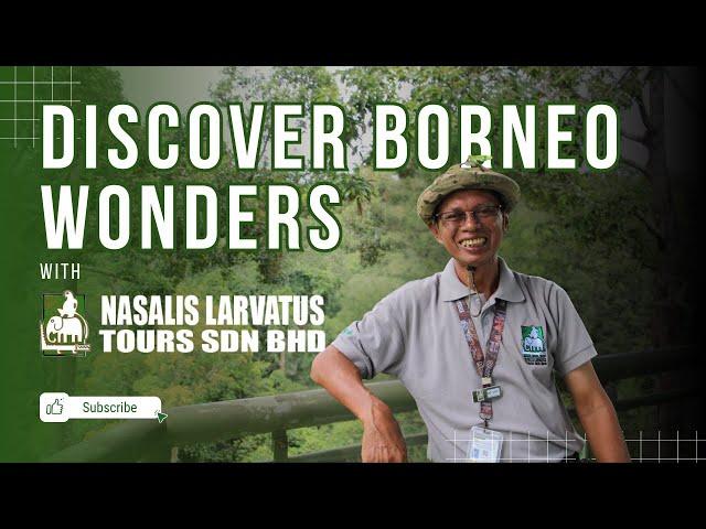 Experience Borneo’s Wild Beauty with Nasalis Larvatus Tours