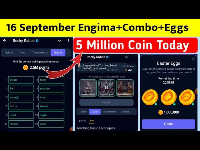 15 - 16 september rocky rabbit combo|rocky rabbit enigma today| Rocky Rabbit New crypto currency