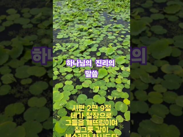 허락하신 새땅 #승리#주님품#기도