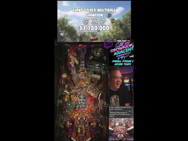 Playing Pinball Live - New King Kong all night long (Portrait)