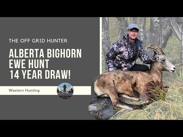 Alberta Bighorn Ewe Hunt: 14 Year Draw! BIGHORN SHEEP | THE OFF GRID HUNTER