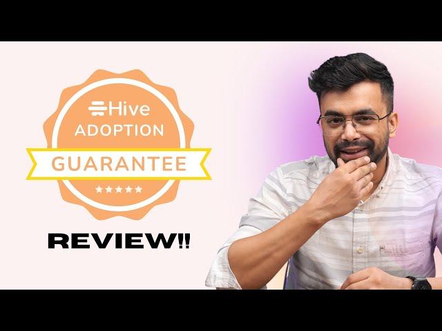 Hive Project Management APP Review