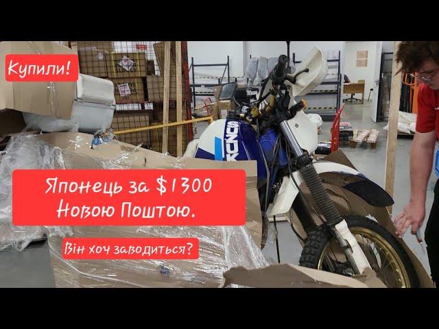 Купили найдешевший японець з доками. Він хоч їздить? Suzuki "Прадід" DR500 Dakar