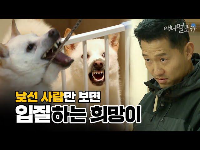 [풀버전] 낯선 사람을 보면 공격성을 드러내는 강아지, 희망이｜KBS 개는훌륭하다 200203 방송