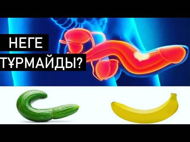 Еркектің МҮШЕСІ неге тұрмайды? Бедеулік неден пайда болады? Бедеулікті емдеу жолдары.