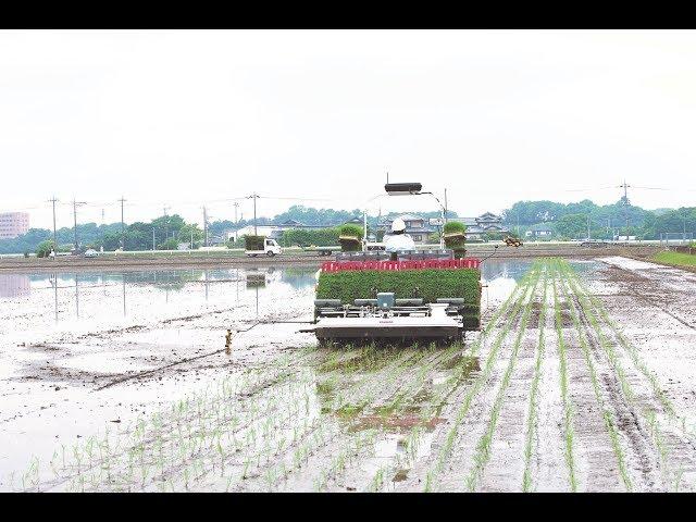 Yanmar AutoRice Transplanter YR8D, A [0:60]