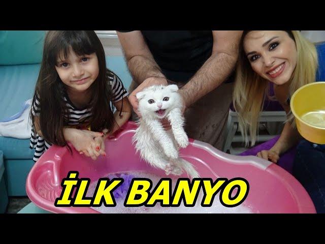 Lİna'nın Kedisi Pamuk Dorin'in İlk Banyosu ! Kedi Nasıl Yıkanır! Rukiye Çetinkaya